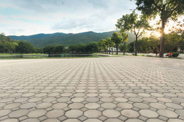 Trusted Fairview Shores, FL Driveway Pavers Experts